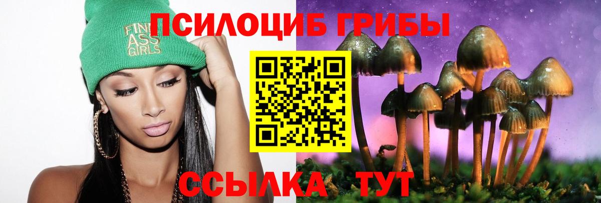 как найти закладки  Псилоцибиновые грибы прущие грибы  Вход с VPN  Первоуральск 